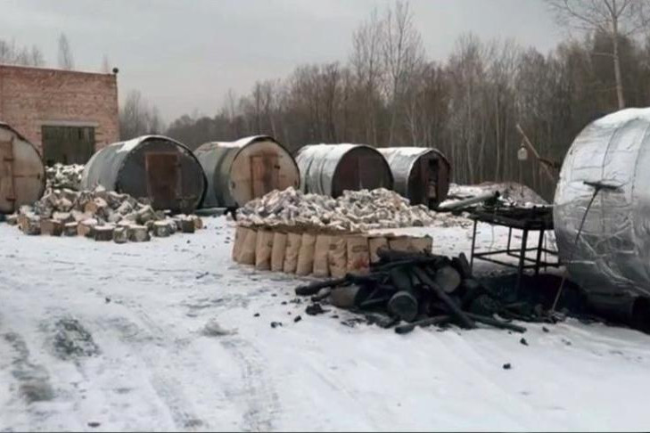 Банду «чёрных лесорубов» задержали в Мошковском районе