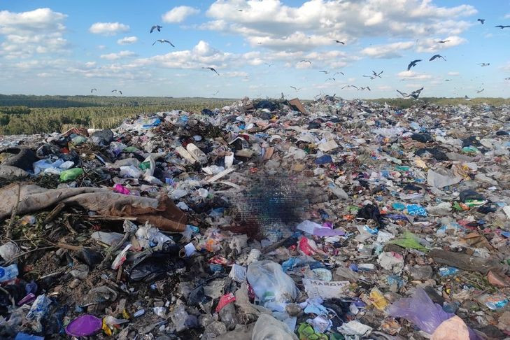 На мусорном полигоне в Новосибирске нашли труп с перерезанным горлом