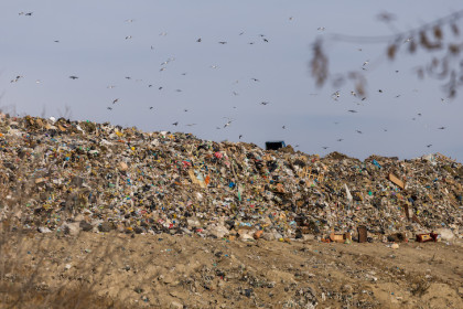 Строительный мусор перестали принимать на Левобережном полигоне Новосибирска