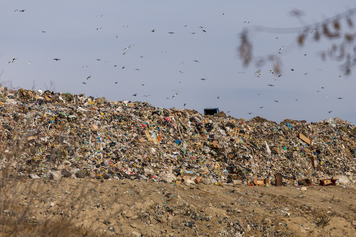 Строительный мусор перестали принимать на Левобережном полигоне Новосибирска