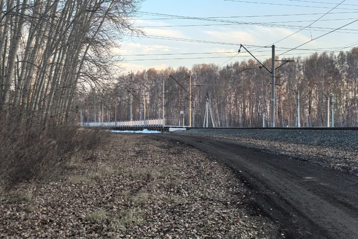 В Новосибирске разыскивается маньяк с исцарапанным лицом