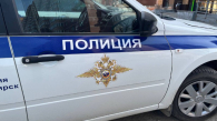 Житель Татарска открыл стрельбу по бродячим собакам