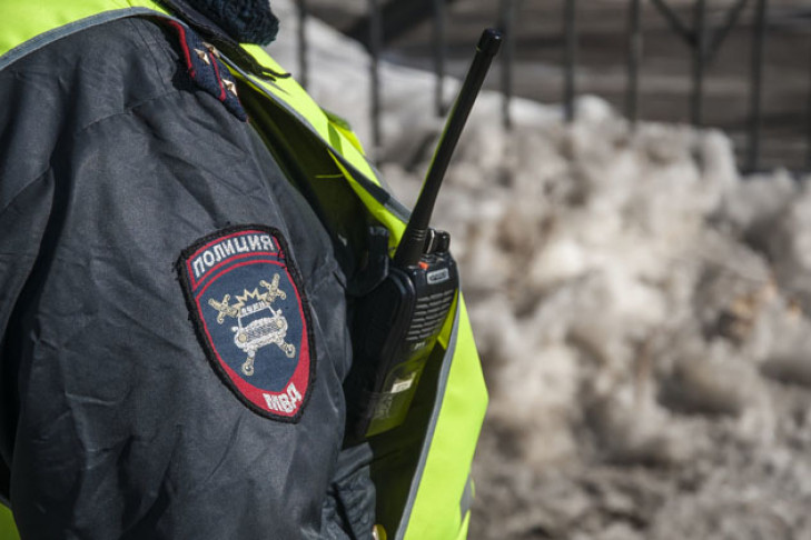 Дебоширы избили наряд полиции в Татарске