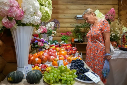 Томаты-гиганты и перцы-мастодонты: дачники в Новосибирске показали урожай