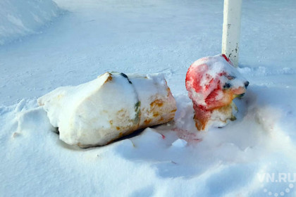 Снежного Кота со шпагой разбили на обломки вандалы в Чулыме