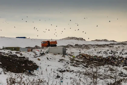 Правительство Новосибирской области стало собственником АО «САХ»