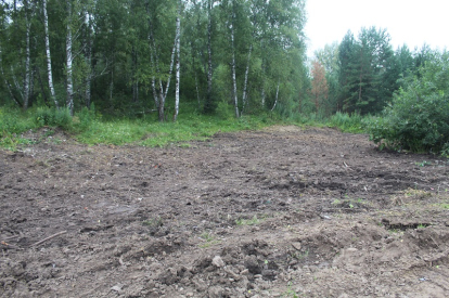«Земля для стройки»: в Новосибирской области выявлено около трех тысяч гектаров
