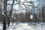 Синоптики сообщили, когда в Новосибирской области наступит весна