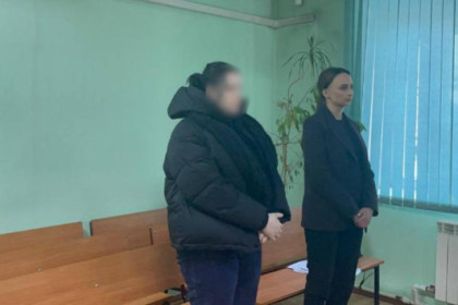 В Новосибирске суд арестовал на 2 месяца юную мать младенца из помойки