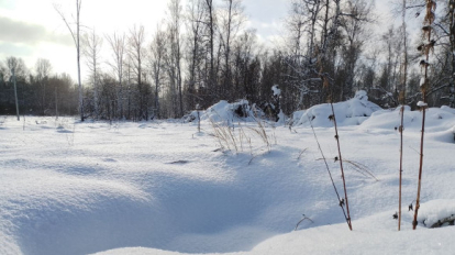30-градусные морозы ударили в Новосибирской области 8 декабря