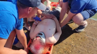 Жителя Новосибирска парализовало после прыжка в воде с парапета