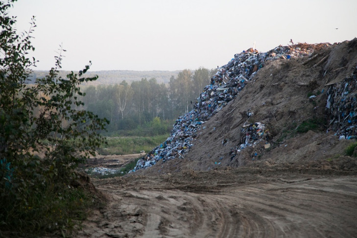 Искусственный интеллект подключили к борьбе со свалками в Новосибирске