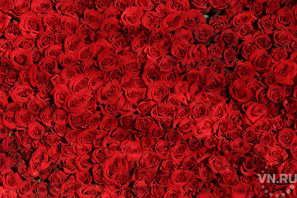 За миллион алых роз нужно продать 63 квартиры в Новосибирске