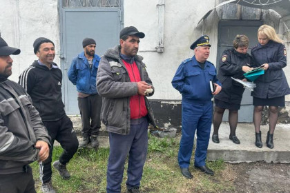 Всего четырех нелегальных мигрантов нашли в Карасукском районе