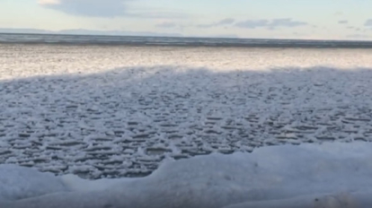 Как в сказке: Байкал покрыли ледяные лотосы
