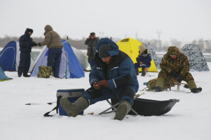 Массовая гибель рыбы продолжается в новосибирских водоемах