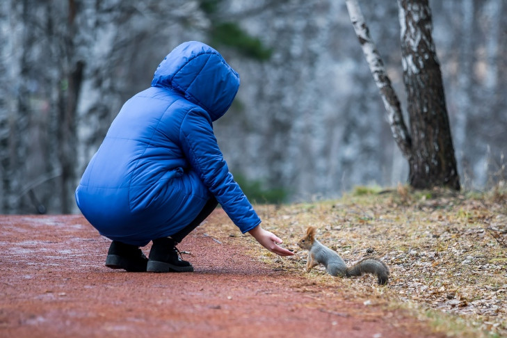 О новой волне холода с 31 октября предупредили синоптики в Новосибирске