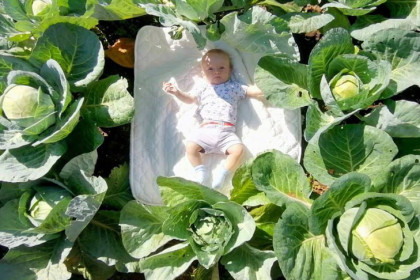 Джеймс и Ева: названы самые редкие и популярные имена 2025 года в Новосибирске