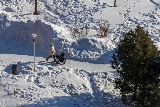 Днем +2 градуса: точный прогноз погоды на март-2026 опубликован в Новосибирске