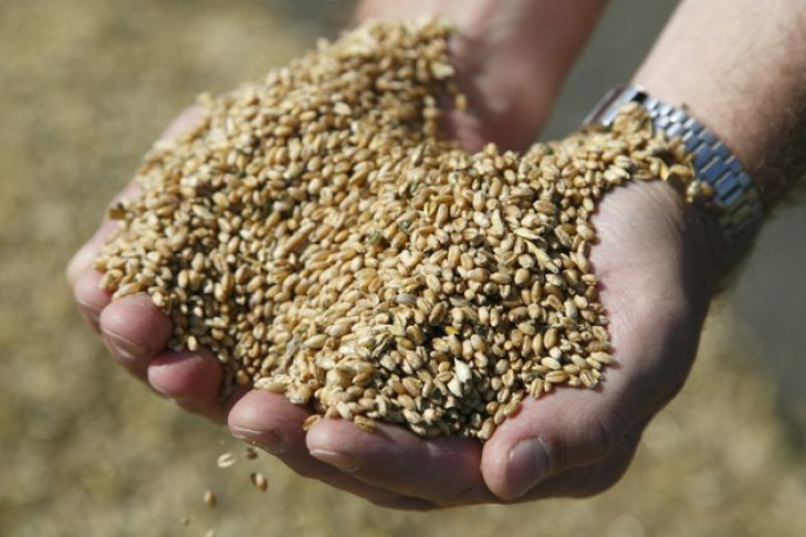 Аграрии намолотили три миллиона тонн зерна