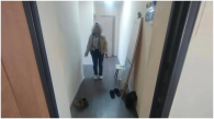 Жительница Новосибирской области напала на троих полицейских