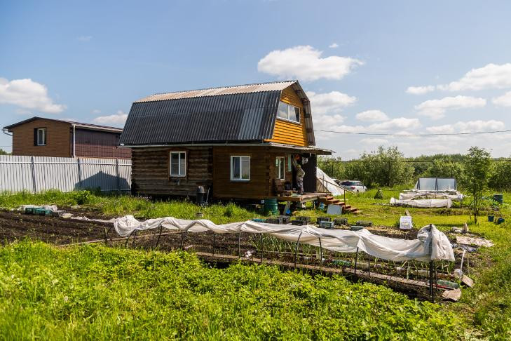 Об опасной мышиной инфекции предупредили дачников в Новосибирске