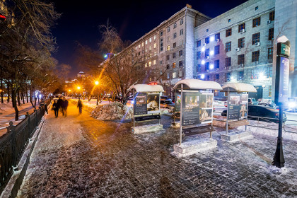 Лютый мороз придет в Новосибирск в день Анфисы Рукодельницы 21 декабря