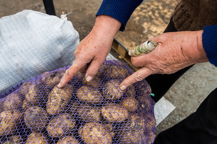 Поспешить с копкой картошки призвал новосибирцев агроном Овечкин