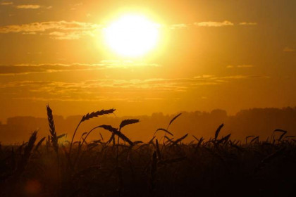 Вспышки на Солнце достигли «оранжевого» уровня: как защититься 
