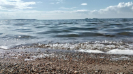 Три баржи поднимут со дна Обского моря под Новосибирском