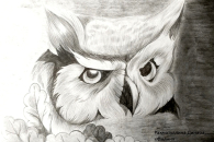 О судьбе животных из Красной книги рассказали юные художники из Татарска