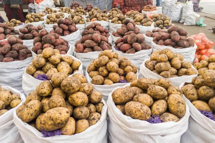 Цены на картофель рухнули в Новосибирской области