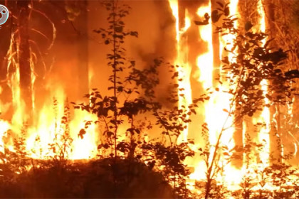 Пожарные-десантники из Новосибирска тушат лес в Красноярском крае