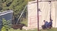 Новосибирцы пожаловались на жестокое обращение с медведем в цирке шапито