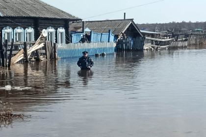 Река Уй затопила жилые дома в Новосибирской области