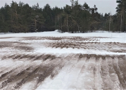 Подготовка к лесокультурному сезону идет в Новосибирской области
