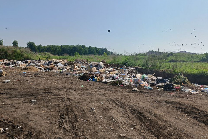 Стихийную свалку вблизи Венгерово устранят до конца июля 2026 года