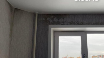 Чёрная плесень поразила дома в новосибирских Родниках