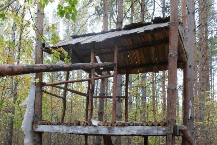 Двухэтажный дом снесли в лесопарке Синягина под Новосибирском