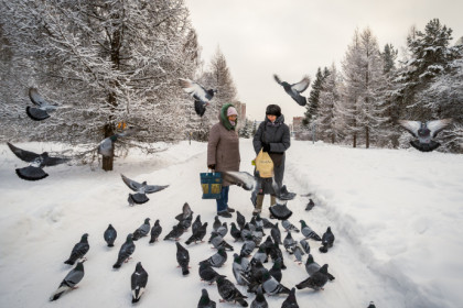 Морозы до середины февраля продлятся в Новосибирске – прогноз синоптиков