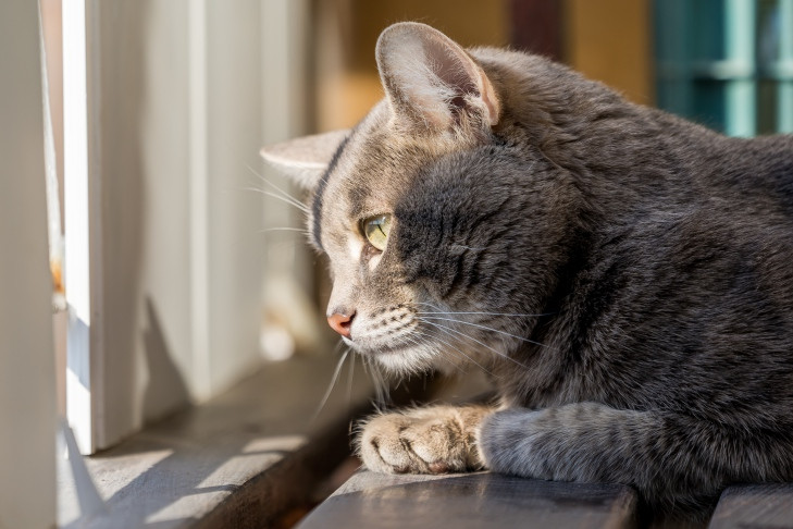 Самый жаркий день +20: точный прогноз на сентябрь опубликован в Новосибирске