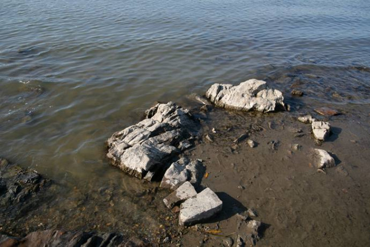 О жаре до +30 и резком остывании воды в Оби предупредили новосибирцев