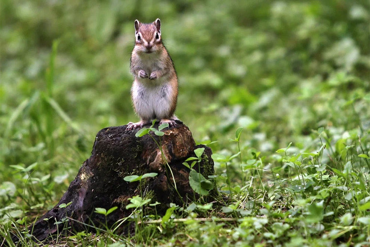 Прогноз погоды на 16-17 августа в Новосибирске сделали синоптики