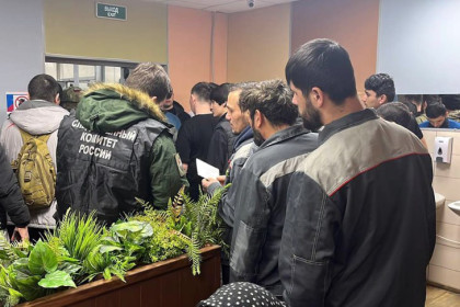 Нелегальные мигранты прятались в овощных теплицах под Новосибирском