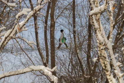 Ультраполярное вторжение после снегопадов прогнозируют синоптики в Новосибирске