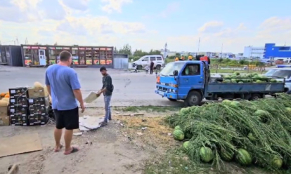 Лежали прямо на земле: 20 тонн арбузов изъяли у мигрантов в Новосибирске