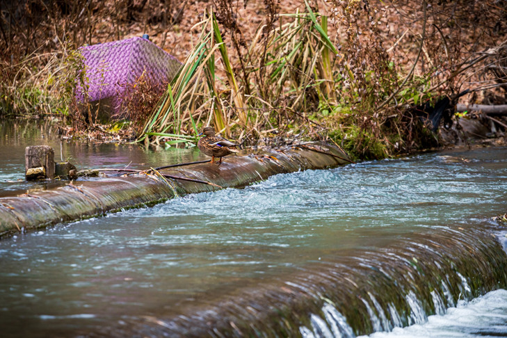 Угроза обрушения: вышел из строя коллектор реки Ельцовка-1 в Новосибирске