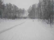 Подготовка трасс «Лыжни России» в Новосибирской области вышла на финишную прямую