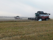 Молодежь за трудоустройство в сельхозорганизации Новосибирской области получает выплату