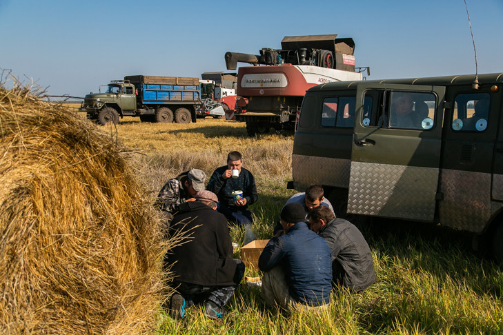 Уборочная-2025 началась в Новосибирской области